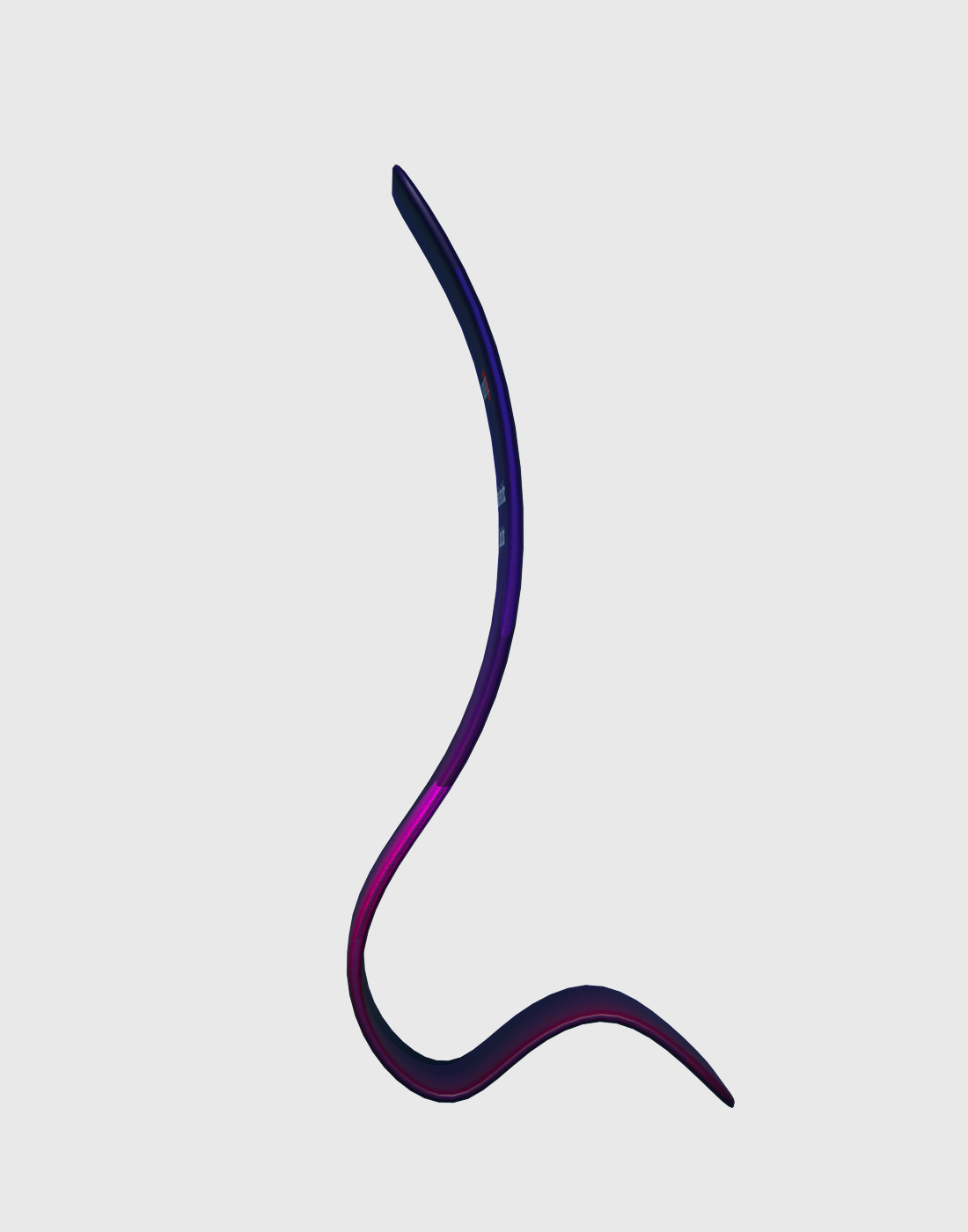 Snake Tension Fabric Display Stands