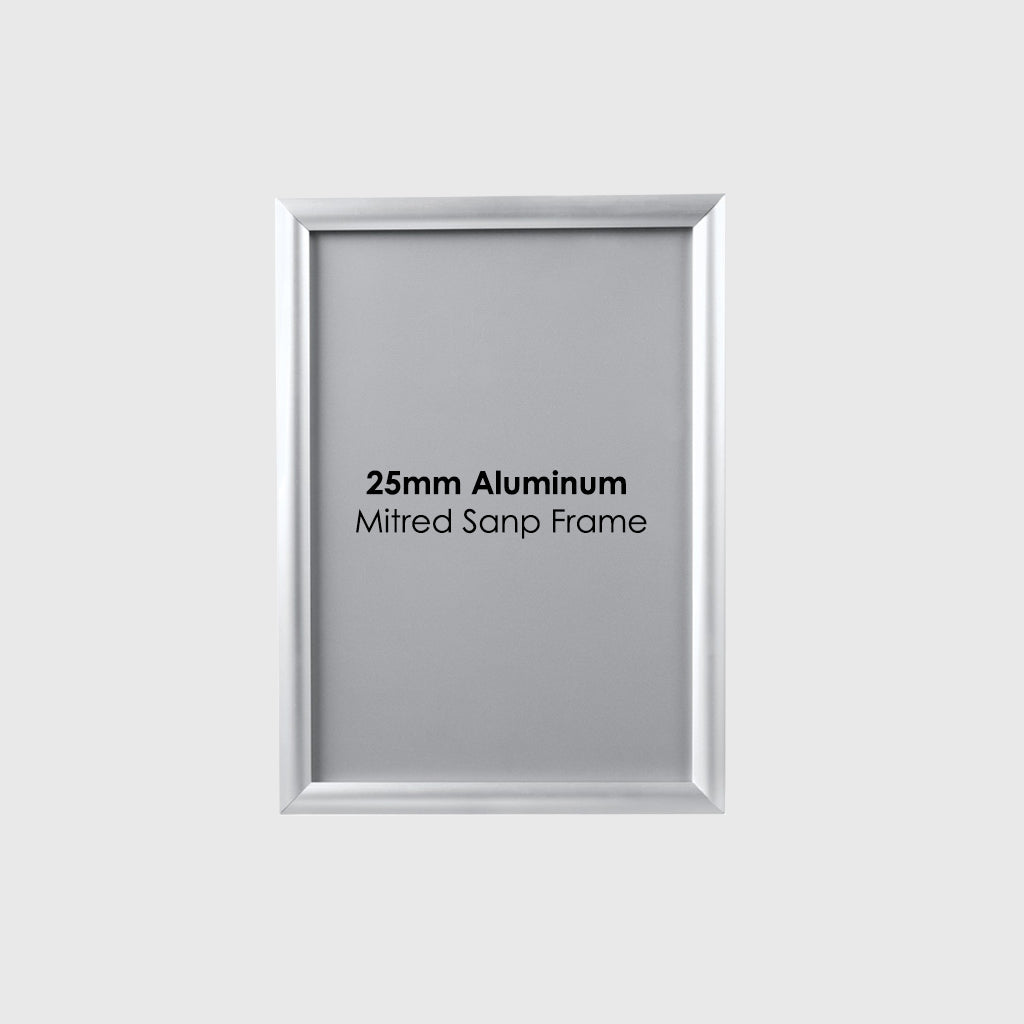 25mm Aluminum Snap Frame