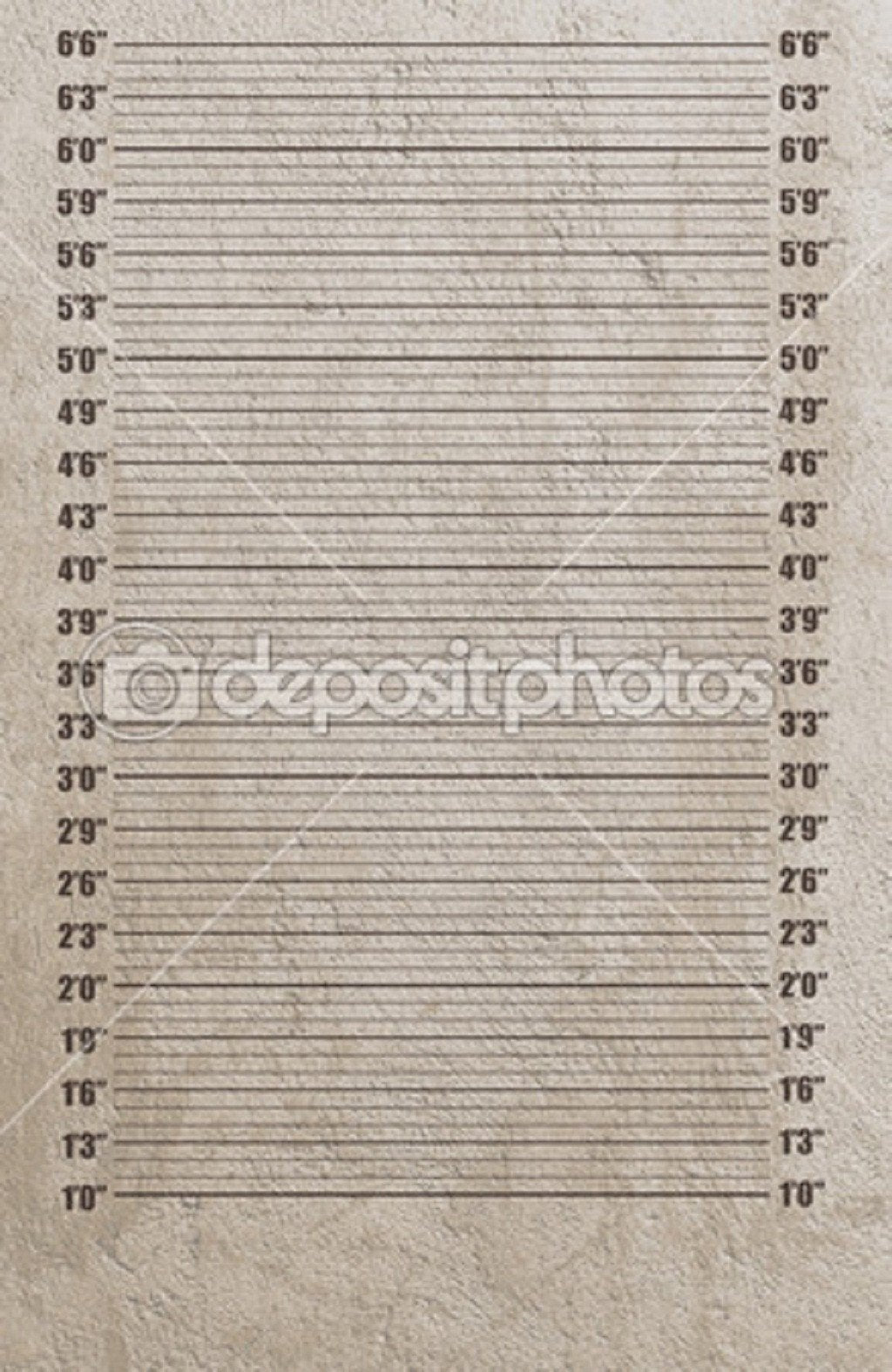 1-6 Inch Mugshot Theme Print Photography Backdrop