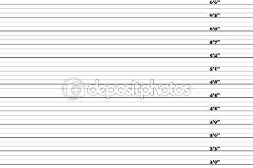 3-6.6 Inch Mugshot Theme Print Photography Backdrop