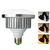 2 Head Contionous LED BiColor 750w Beginners Light Kit ( E27 Bulb Holder)