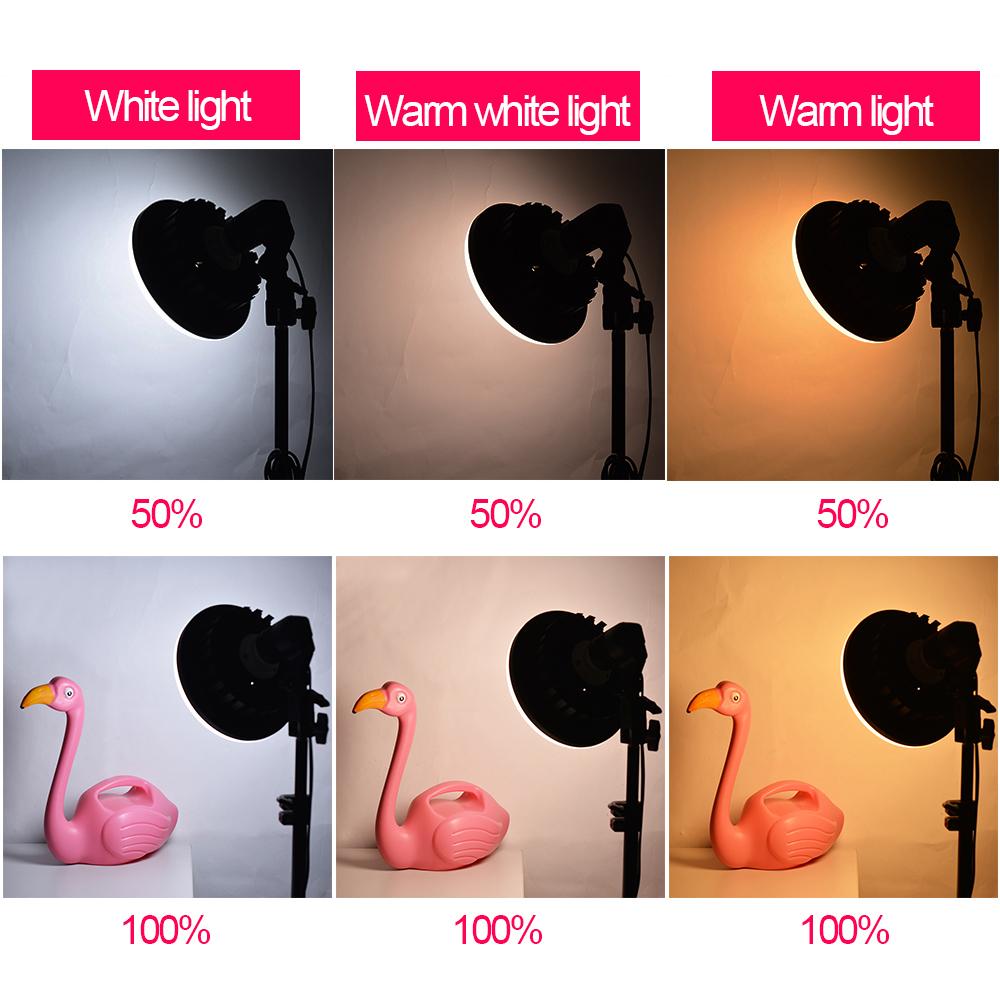 3 Head Contionous LED BiColor 1250w Beginners Light Kit
