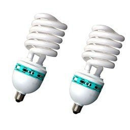 175W Fluorescent Light Bulbs Pair Accessory