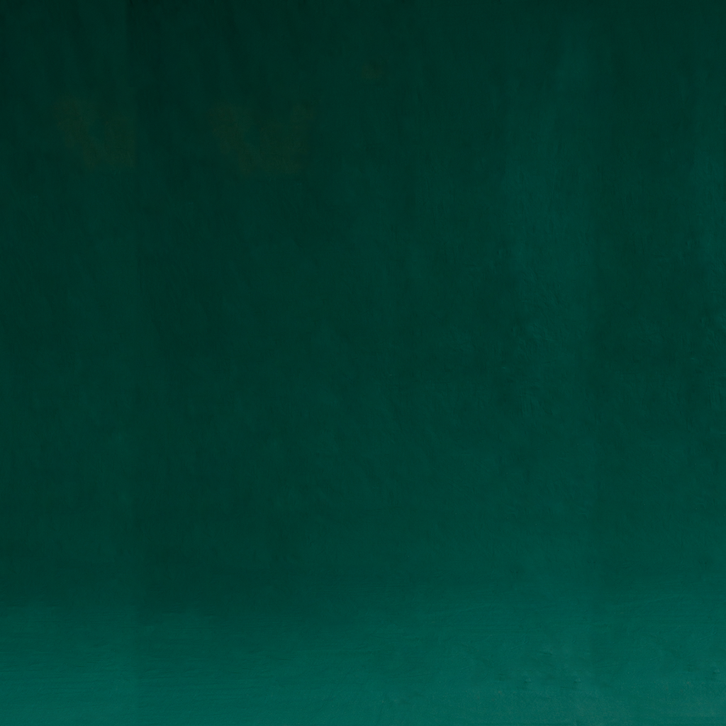 Evergreen Fashion Photo Muslin Background