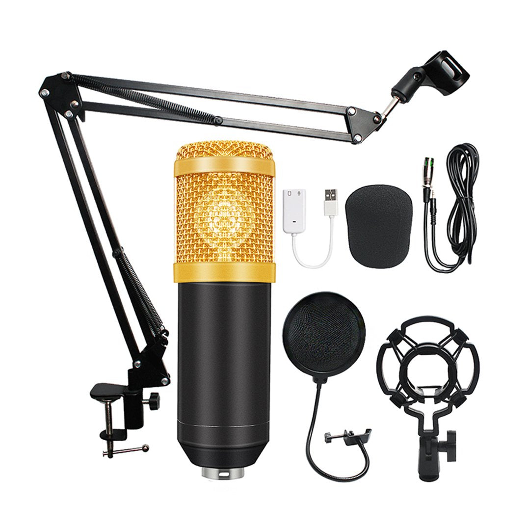 Professional Studio Vocal Recording Mic Condenser Microphone With Boom Holder Set ( karaoke, Recording & Broadcasting)