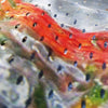 Custom Air Polyester Mesh Banners