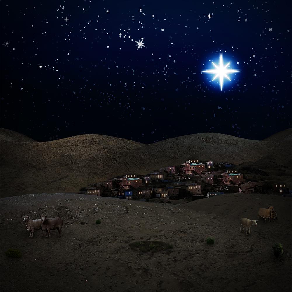 Christmas Bethlehem Night Scene Backdrop - Clearance Sale