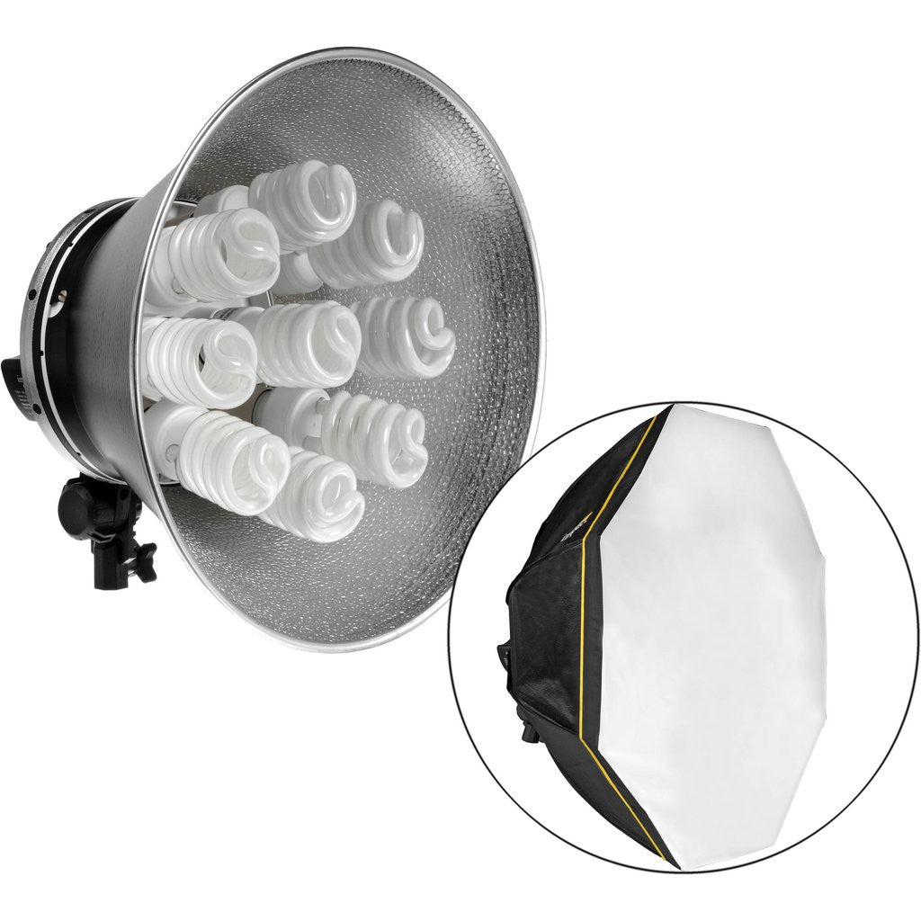 125W Fluorescent Light Bulbs Pair Accessory