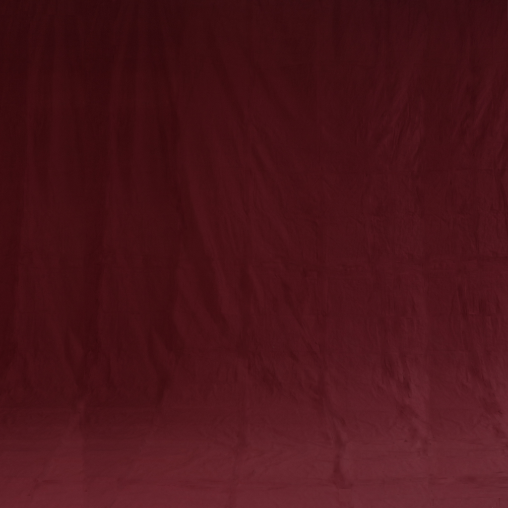 Solid Burgundy Photo Fashion Muslin Background