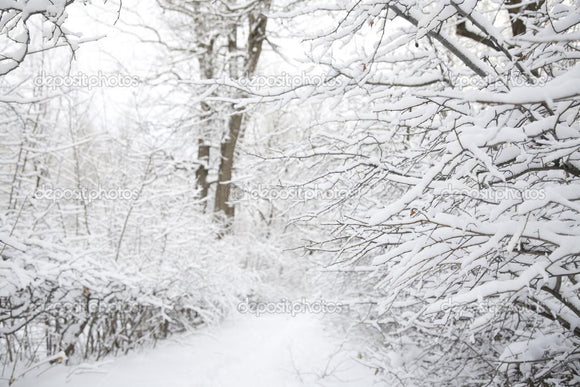 White Winter Scene Indelible Print Fabric Backdrop