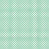 Mini Polka Dots on Mint Green Print Photography Backdrop