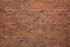 Grunge Brick Wall Print Photography Backdrop