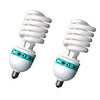 125W Fluorescent Light Bulbs Pair Accessory
