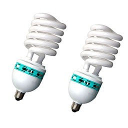 85W Fluroscent Light Bulbs Pair Accessory