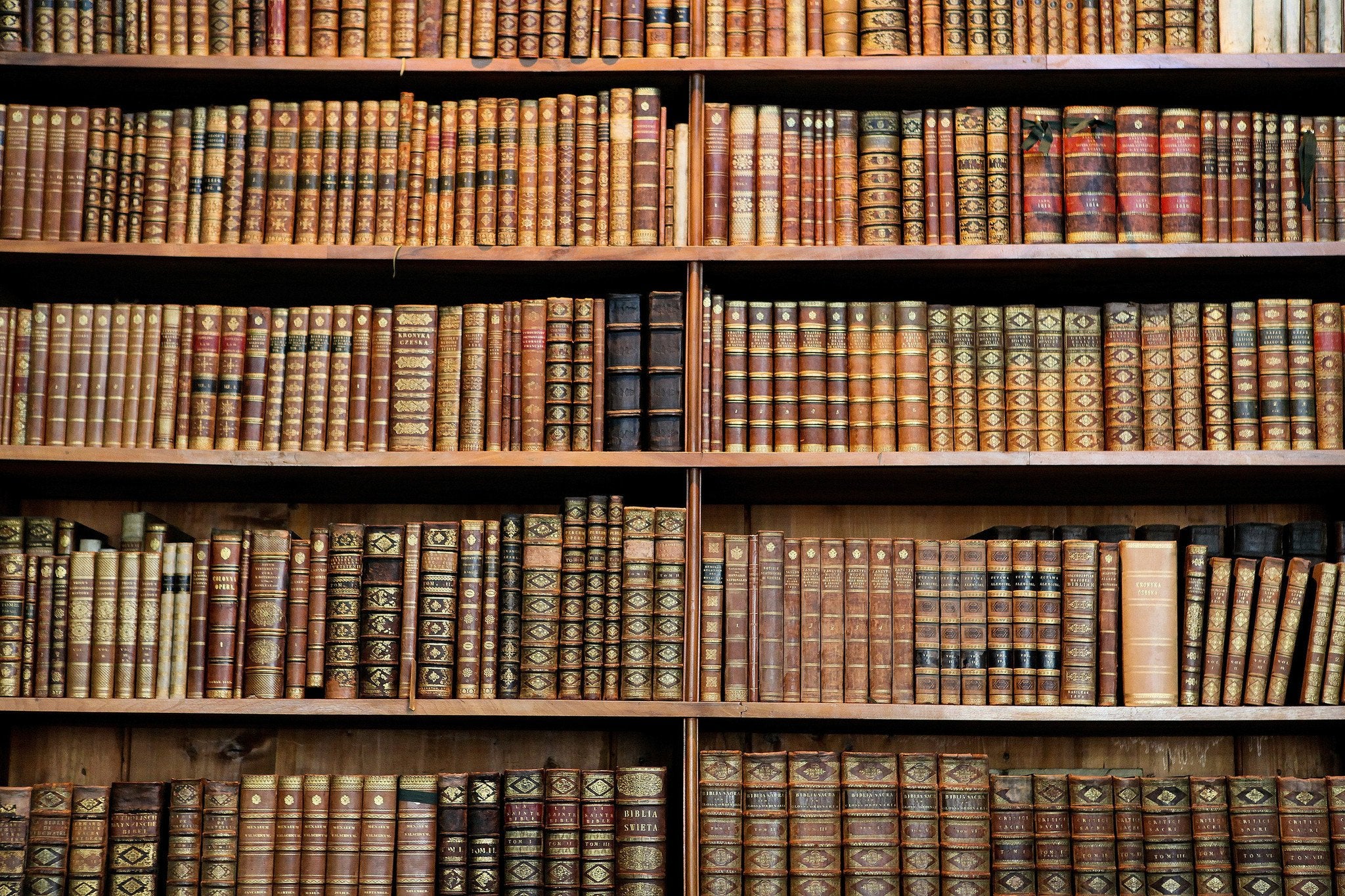 Old Books in the Library of Vienna Print Photography Backdrop