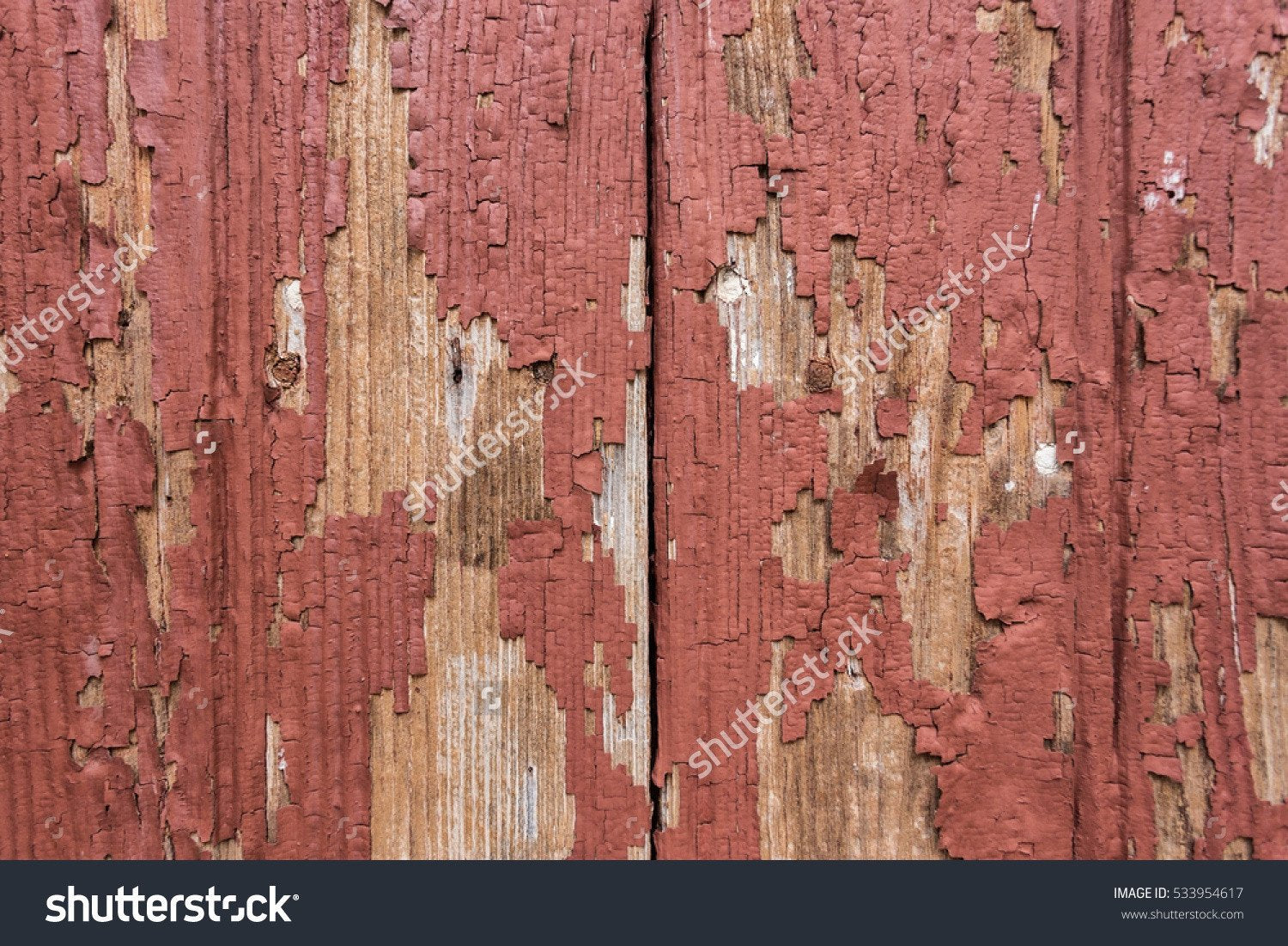 Rustic Red Door Print Photography Backdrop